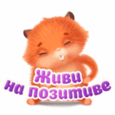 Живи на позитиве м