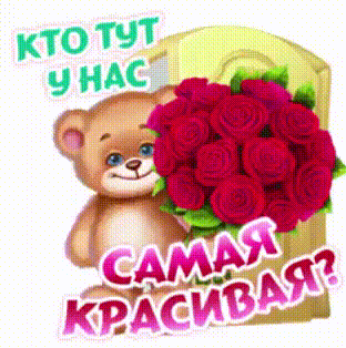 КОМПЛИМЕНТЫ 13