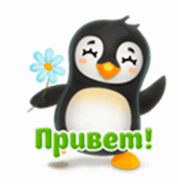 Привет1 м