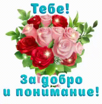 ЦВЕТЫ 6