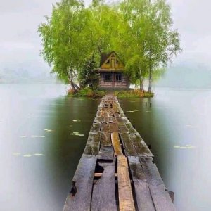 У озера