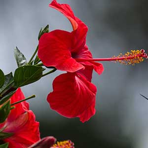 фото