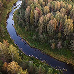 Места, которые стоит посетить