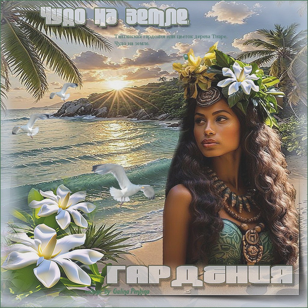 Гардения. Чудо на земле