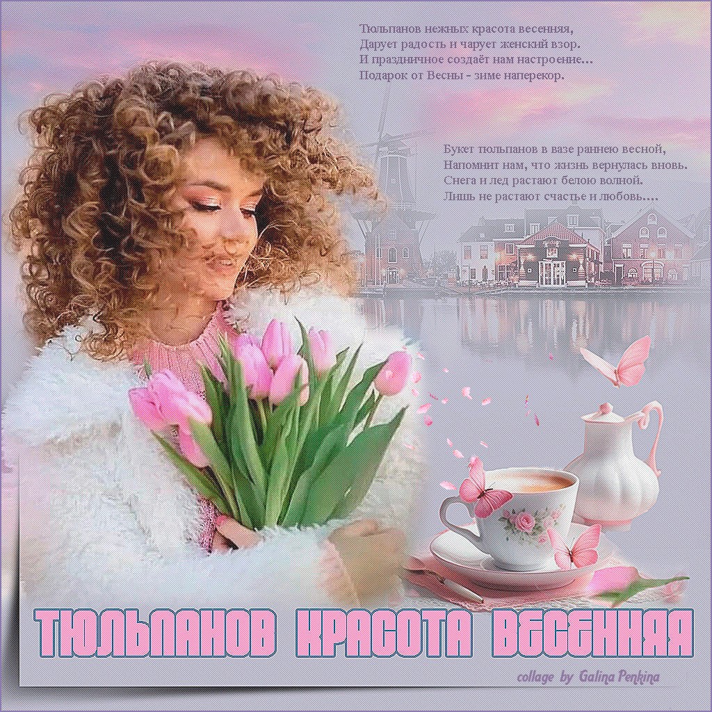 тюльпанов красота весенняя5