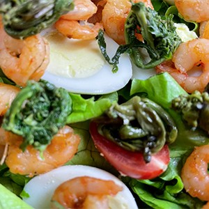 Вкусные растения в весеннем лесу