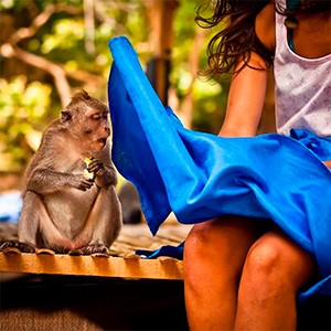 Неожиданные фото