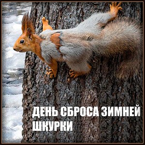 День сброса зимней шкурки