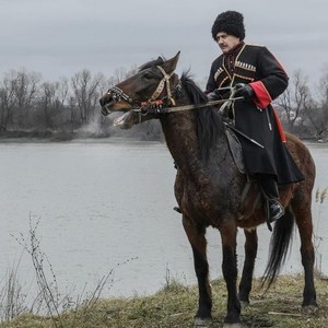 конь боевой