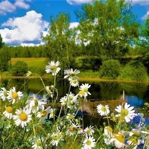 лето в краю