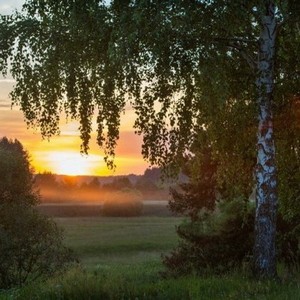край родной