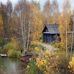 деревенский дом покину