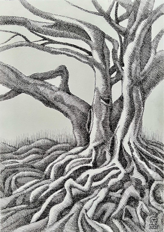 Корни. Скетч. Корни. Скетч — копия