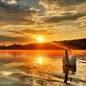 Рано солнцу на покой