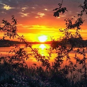 рисует зарю