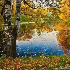осеннею порою