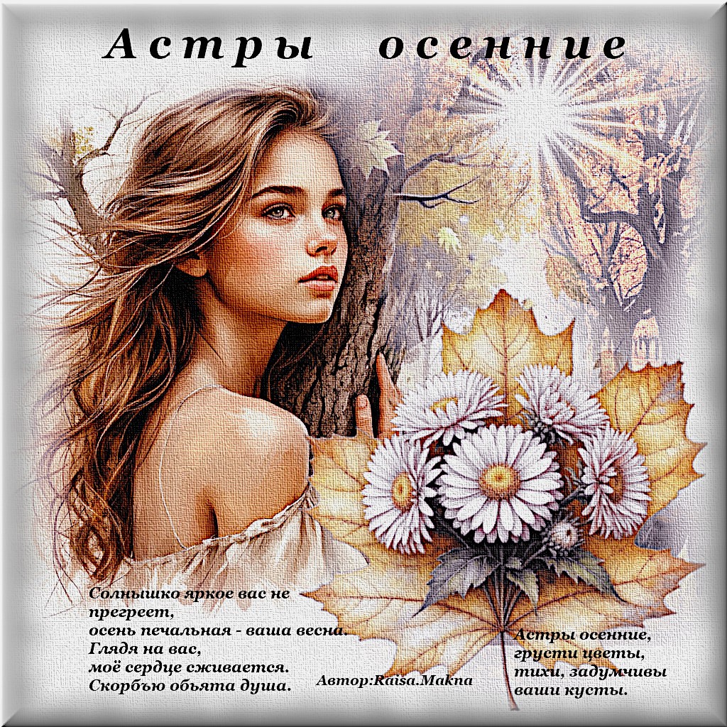 Астры осенние