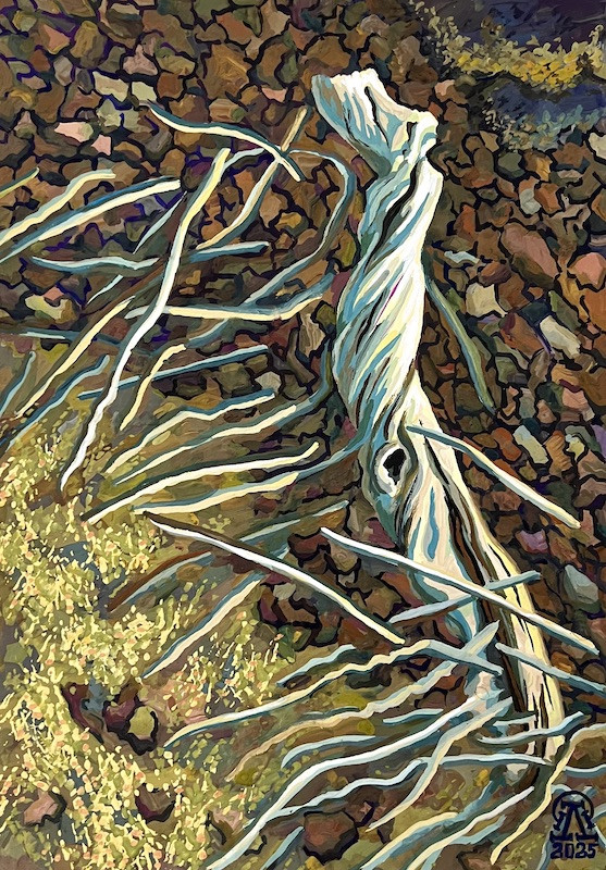 Коряга