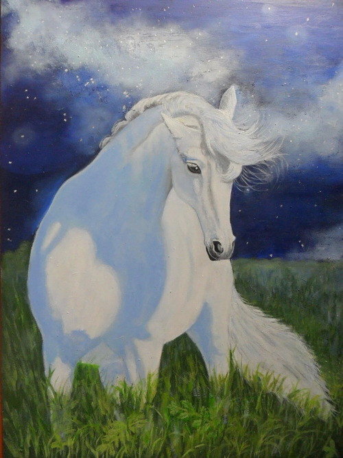 лунный странник. Алена Цыпкунова(Русанова)