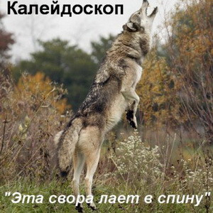 муз.альбом