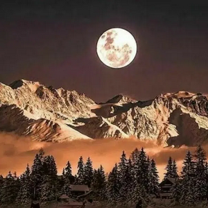 Щедро делится Луна серебром