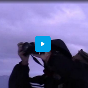 Вершина. видео