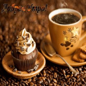 Попил, умылся и вперёд